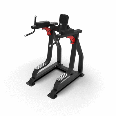 QLI LEG RAISE AND DIP QLRD065